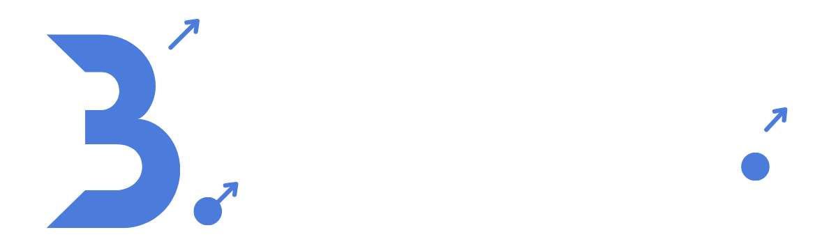 Boudj Invest